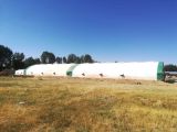 SİNOP 10 X 60 MAKASLI SİTEM ŞANTİYE DEPO ÇADIRLARIMIZ...
