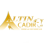 Altın Çadırcılık